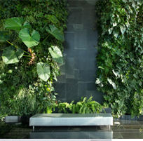 landscape in chennai,chennai landscape architects, chennai gardening, chennai swimming pool maintenance, chennai swimming pool designers, chennai terrace gardens, 