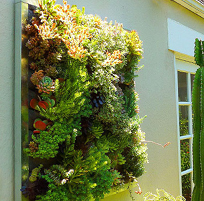 landscape in chennai,chennai landscape architects, chennai gardening, chennai swimming pool maintenance, chennai swimming pool designers, chennai terrace gardens, 