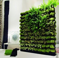 landscape in chennai,chennai landscape architects, chennai gardening, chennai swimming pool maintenance, chennai swimming pool designers, chennai terrace gardens, 