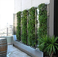 landscape in chennai,chennai landscape architects, chennai gardening, chennai swimming pool maintenance, chennai swimming pool designers, chennai terrace gardens, 