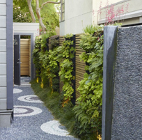 landscape in chennai,chennai landscape architects, chennai gardening, chennai swimming pool maintenance, chennai swimming pool designers, chennai terrace gardens, 