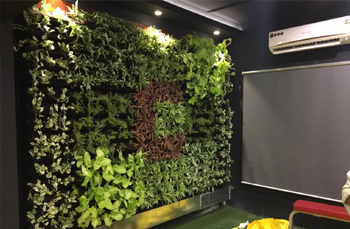 chennai swimming pool designers, garden maintenance in chennai,chennai landscape designers, chennai swimming pool designers,landscape in chennai,swimming pool maintenance in chennai,chennai garden maintenance,chennai landscape architects,